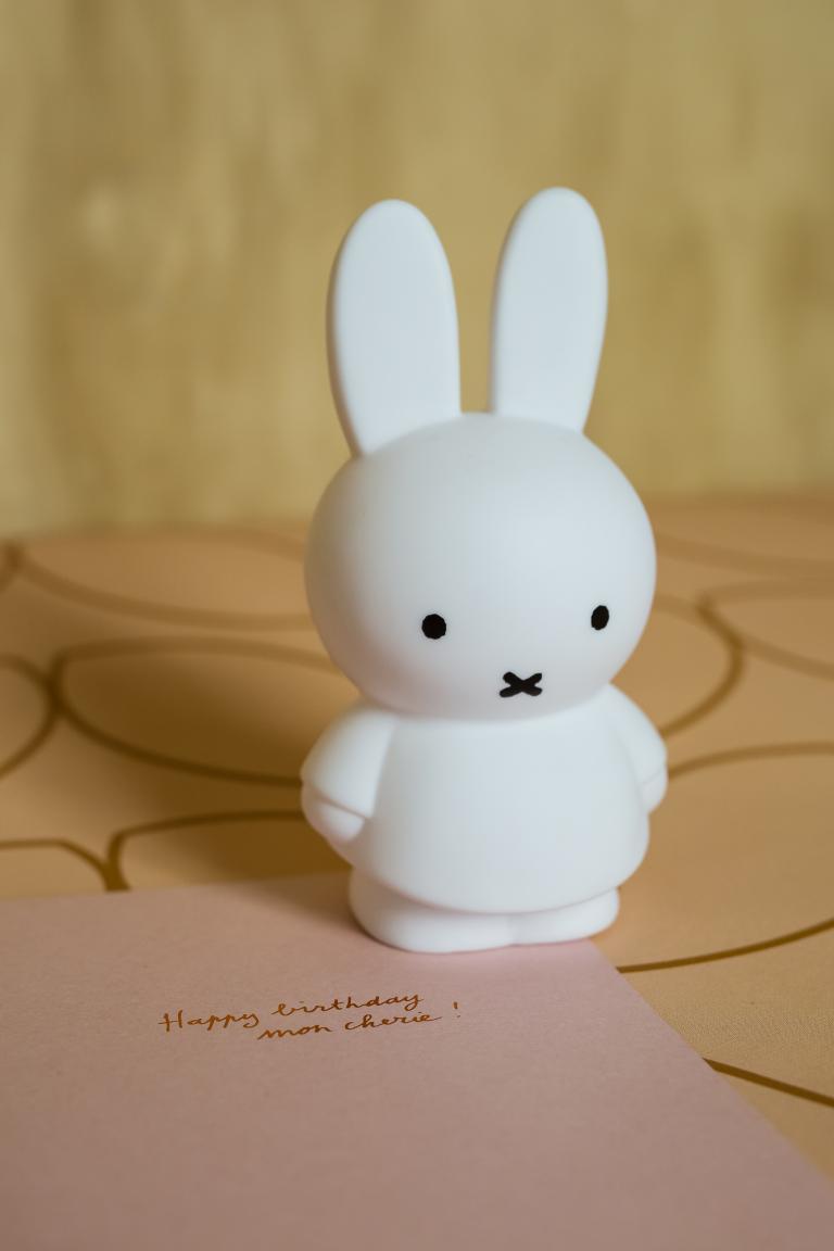 miffy | PURE tirelire