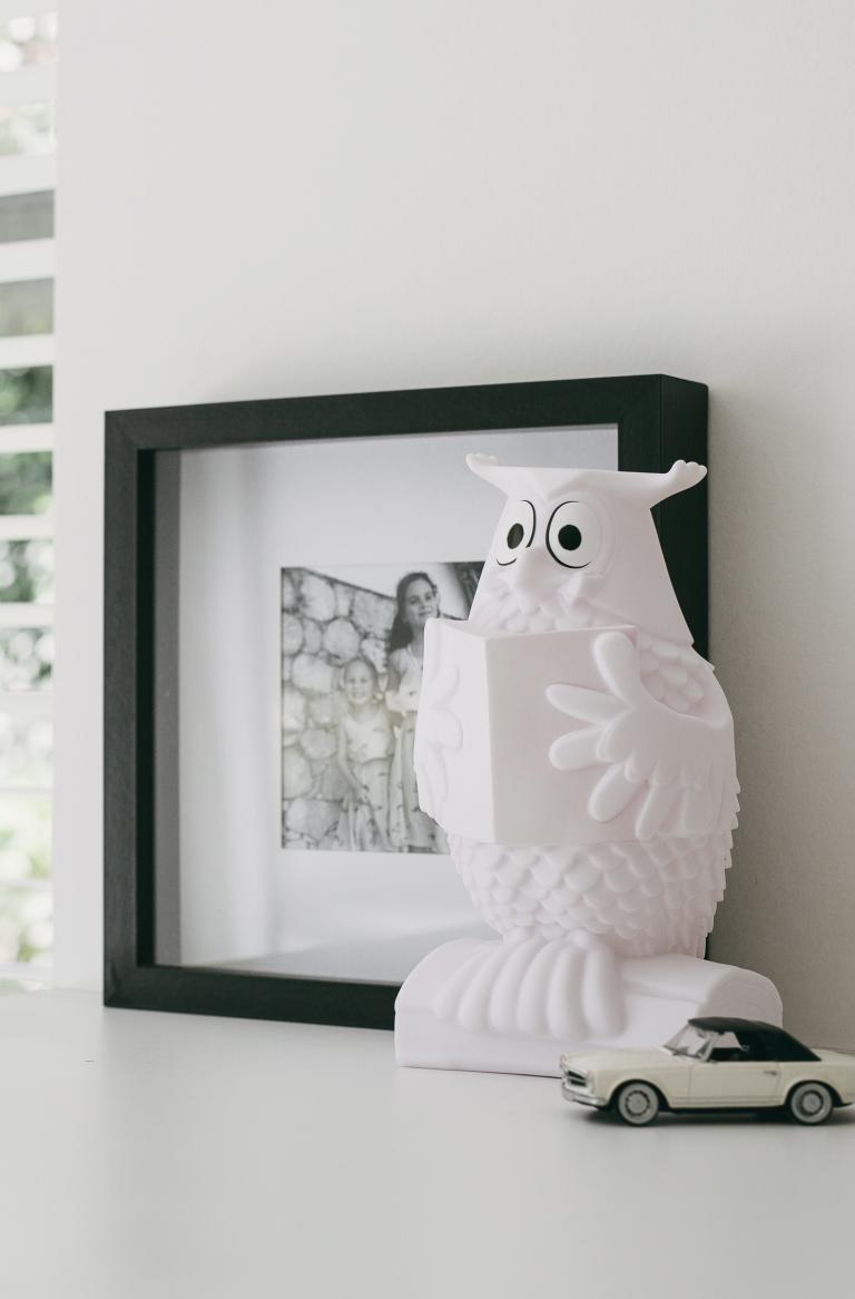 Monsieur le Hibou | Veilleuse USB rechargeable