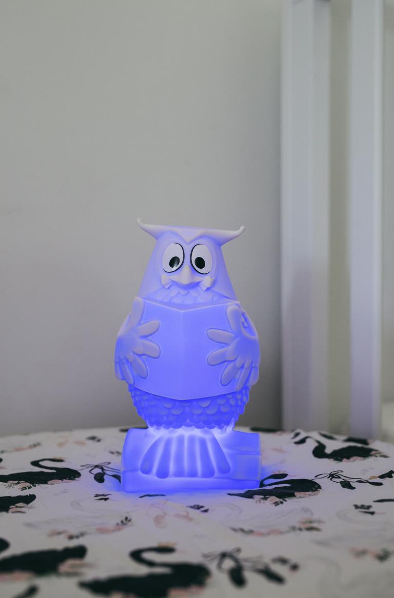 Monsieur le Hibou | Veilleuse USB rechargeable