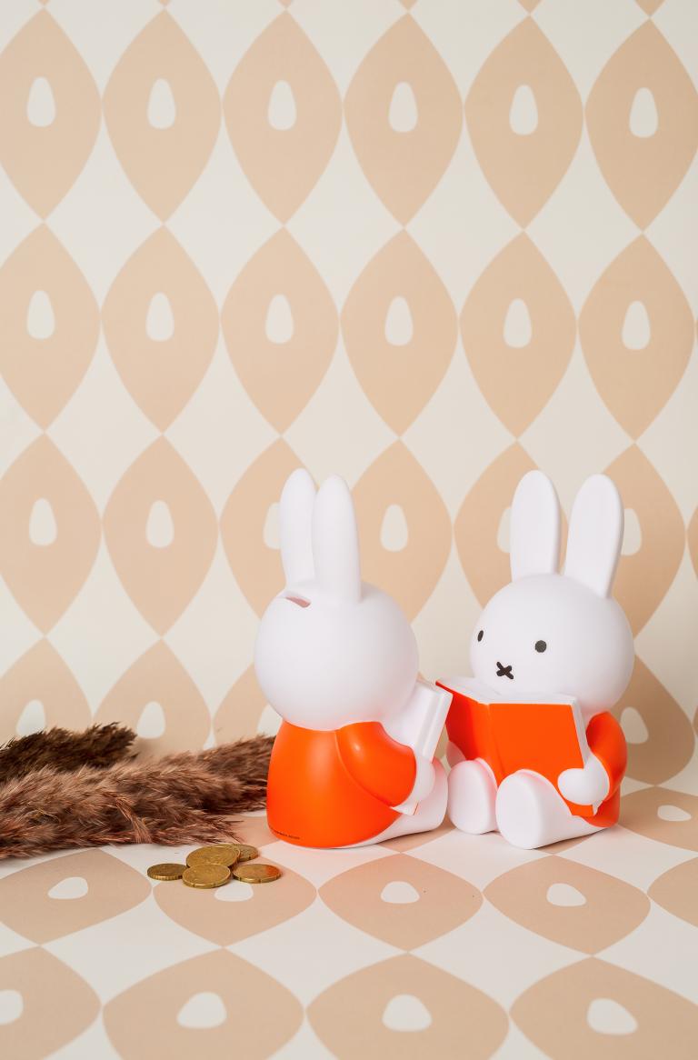 reading miffy money box