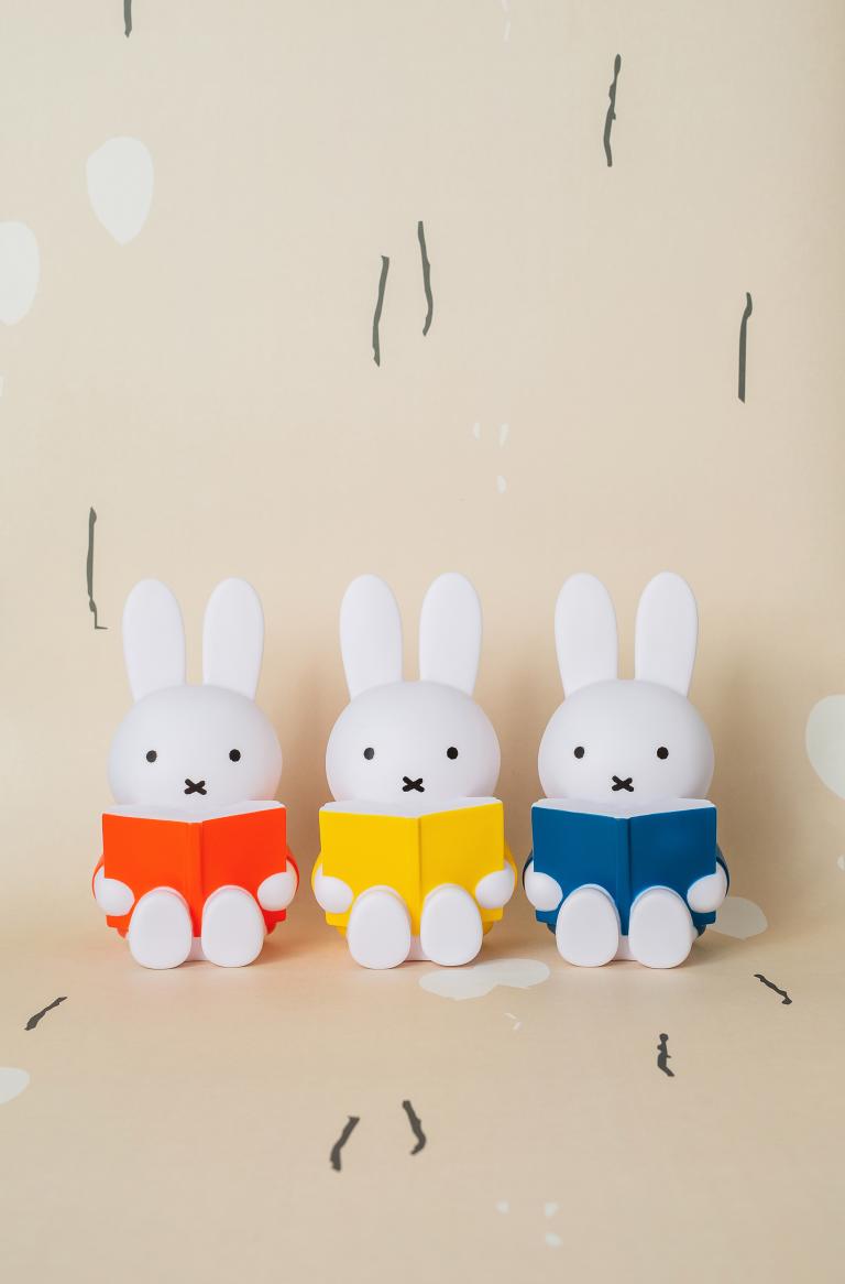 reading miffy money box