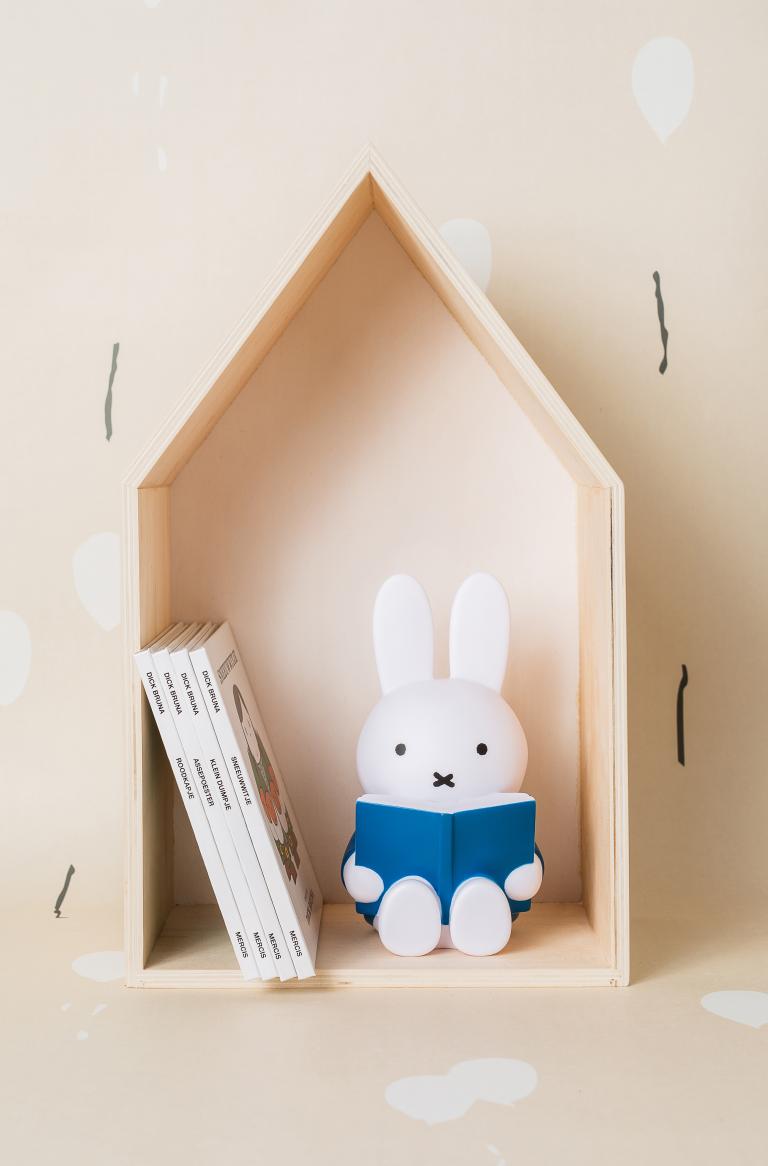 reading miffy money box