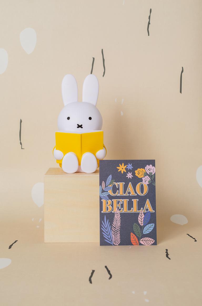 reading miffy money box
