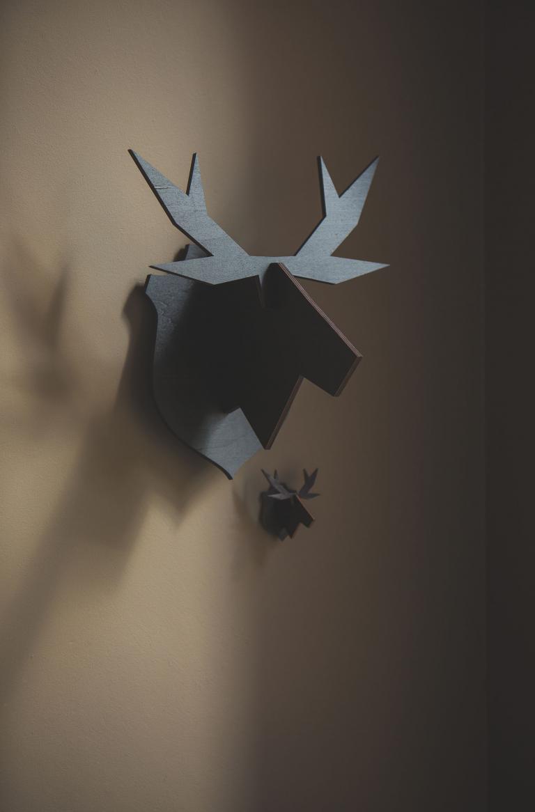 noRdic hanging moose