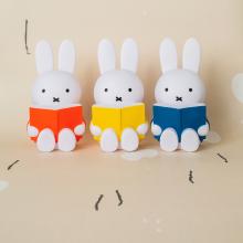 reading miffy money box
