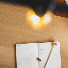 nijntje leest I Potloden I AP Junior