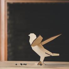 noRdic I falcon