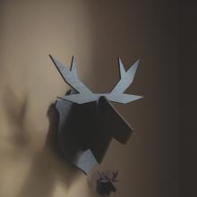 noRdic hanging moose